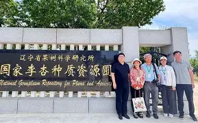 开云-袠薪褑械褋裈hd